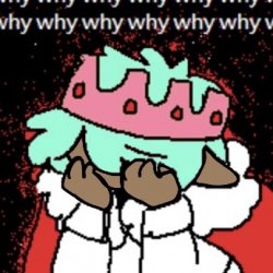 w h y Meme Template