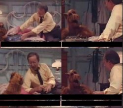 Alf puzzle scene Meme Template