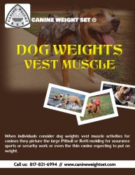 Dog Weights Vest Muscle Meme Template