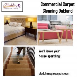 Commercial Carpet Cleaning Oakland Meme Template