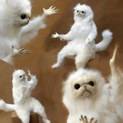 Persian White Monkey Multi Meme Template