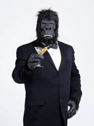 gorilla suit Meme Template