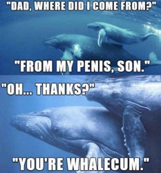 You’re whalecum Meme Template