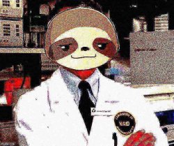 Sloth Dr. Fauci deep-fried Meme Template