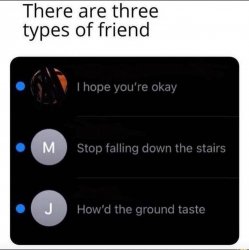 There is three types of friend Meme Template