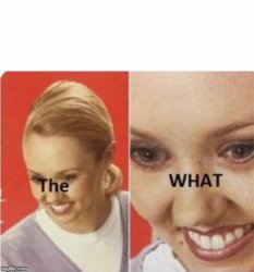 The What Meme Template