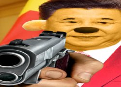 xi jinping winnie the pooh with gun Meme Template