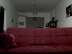 couch Meme Template