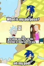 sonic what is my purpose Meme Template