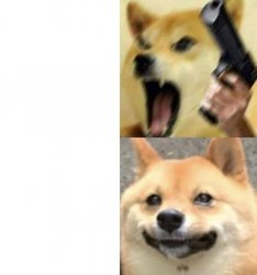 Angry happy doge Meme Template