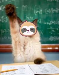 Sloth cat raising hand Meme Template