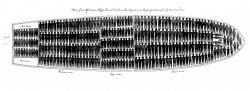 Plan of the Lower Deck of an African slave ship 1789 Meme Template