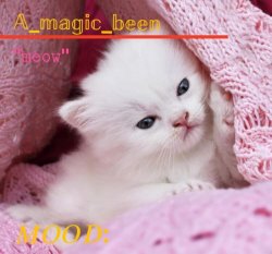 a_magic_been’s temp Meme Template