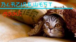 Blazing_West temp 2 Meme Template