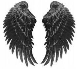black wings Meme Template
