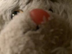 Vanilla the destoryer of everything Meme Template