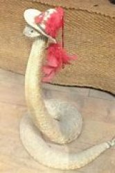 Snek with hat Meme Template