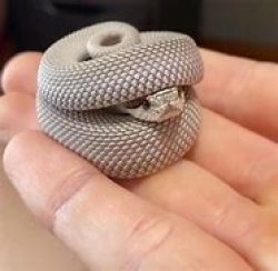 Snek Meme Template
