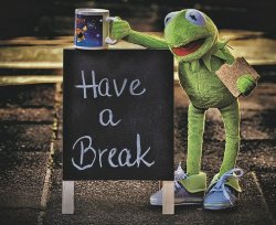 Have a Break Kermit Meme Template