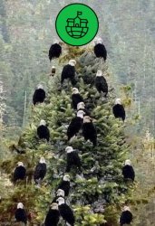 Common Sense Party Christmas tree Meme Template