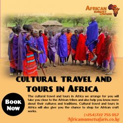 Cultural Travel and Tours in Africa Meme Template