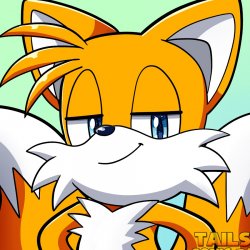 Smart Tails The Fox Meme Template