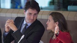 Trudeau taking to Freeland Meme Template