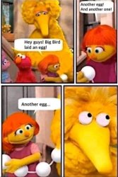 Big bird laid an egg Meme Template