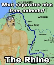 What separates men from animals the Rhine Meme Template