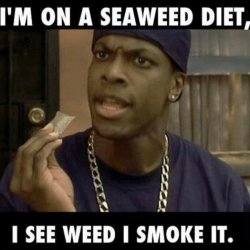 Seaweed diet Craig Meme Template