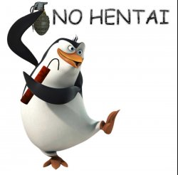 No hentai penguin Meme Template