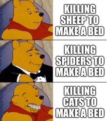 Killing cats is bad Meme Template