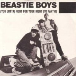 Beastie Boys Fight for your right Meme Template