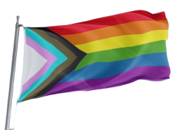 Rainbow Flag Meme Template