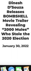 Democrats cheat 2020 election Meme Template