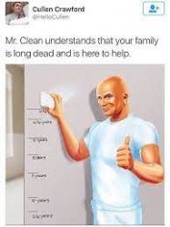 Death is fun with mr clean Meme Template
