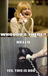 hello yes, this is dog Meme Template