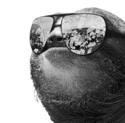 Sloth sunglasses grayscale transparent Meme Template