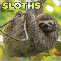 Sloths 2022 calendar Meme Template