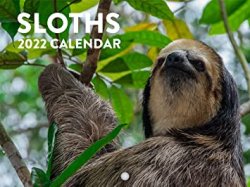 Sloths 2022 calendar Meme Template
