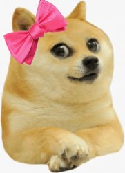 Cute Doge Girl Meme Template