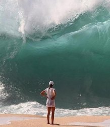 que fluya Meme Template