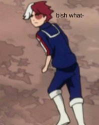 todoroki bish what face Meme Template