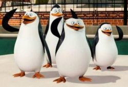 magadascar penguins Meme Template