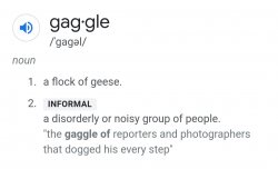 Gaggle Meme Template