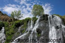 Woodland music stops Meme Template