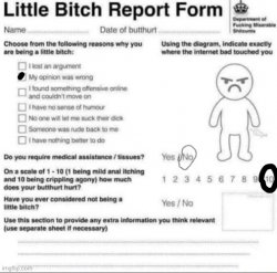 Little Bitch Report Form Meme Template