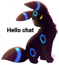 Umbreon hello chat Meme Template
