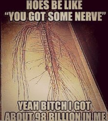 I DO GOT SOME NERVE Meme Template