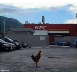 Chicken outside KFC Meme Template